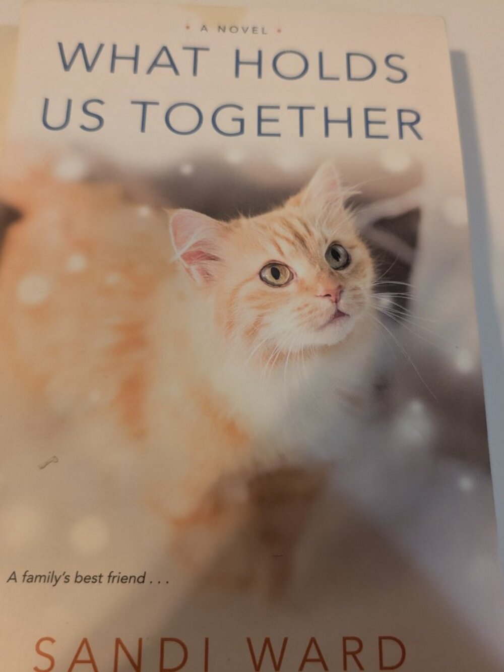 Novel by Sandi Ward